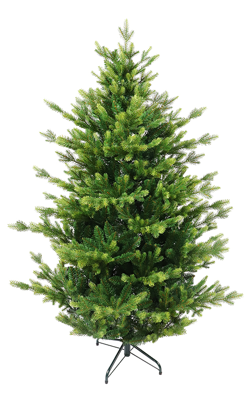 OV European Fir